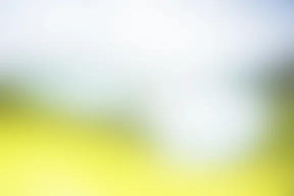 МИНТ Казино Поддръжка